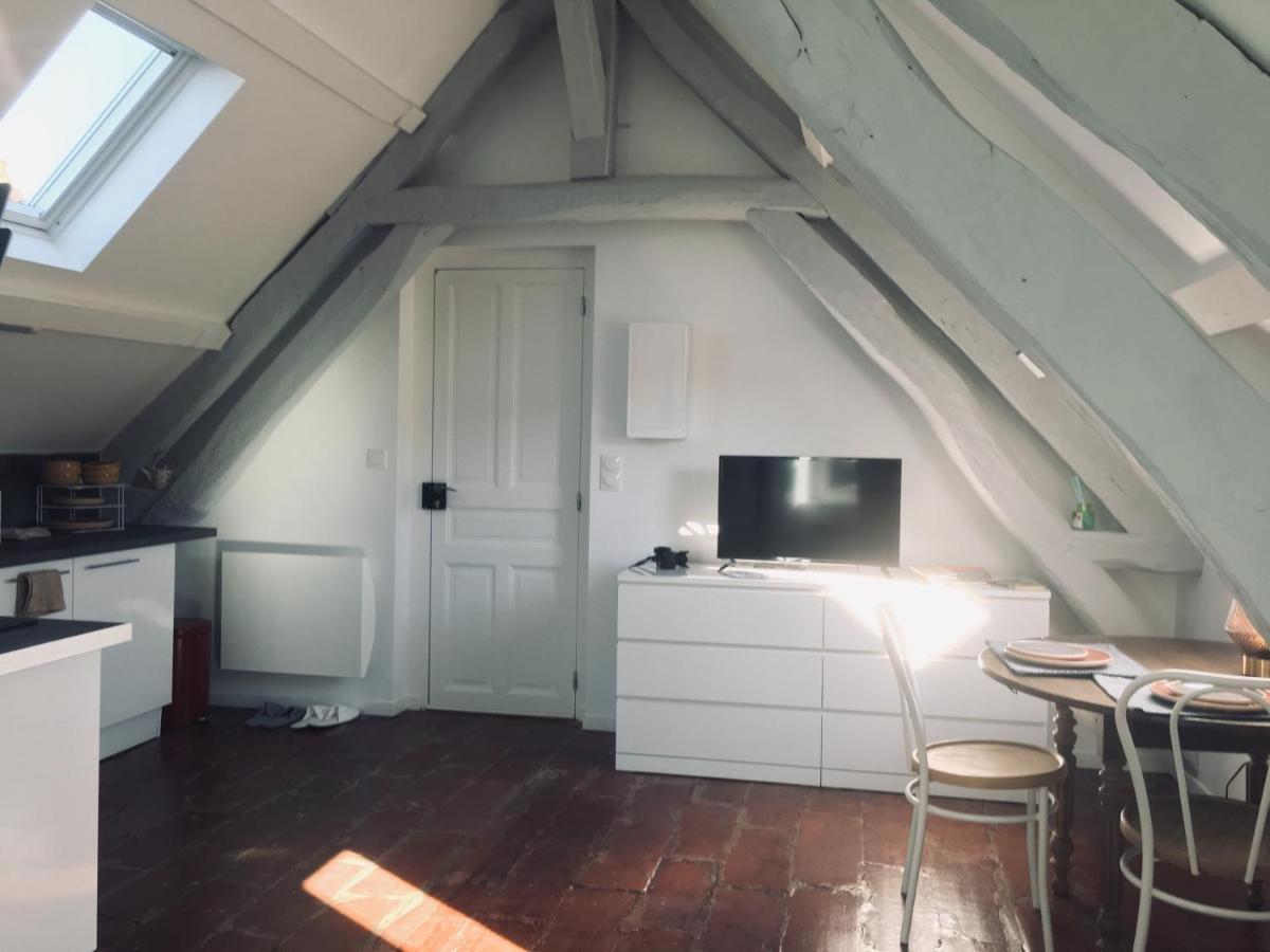 Tonnerre Grand Studio De Charme Au Coeur De La Ville Eksteriør billede